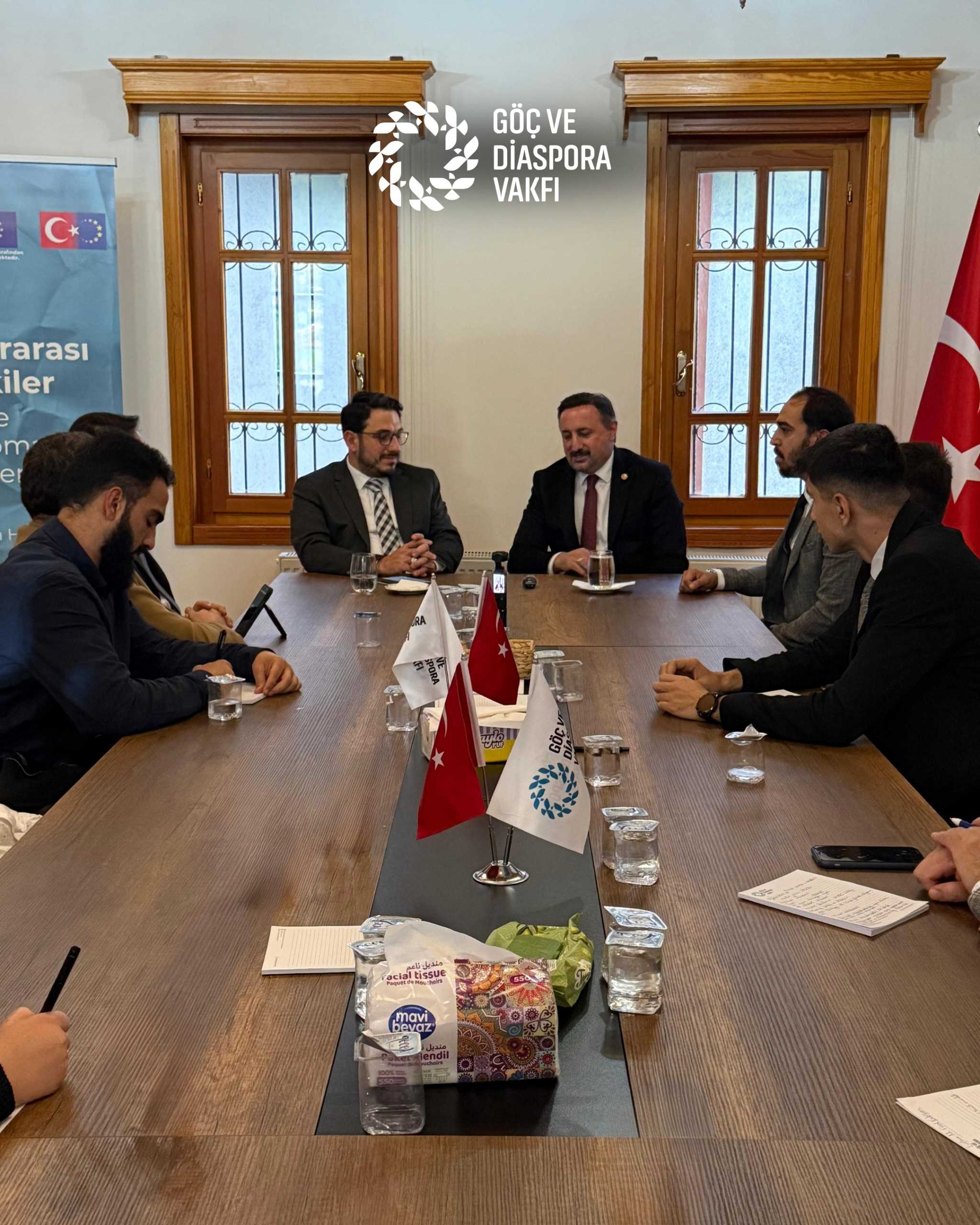 Türkiye–AB Karma Parlamento Komisyonu ve Diplomasi